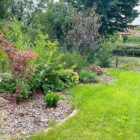 Ferienwohnung Kamrath Mit Wunderschoenem Ausblick Neuruppin Eksteriør bilde