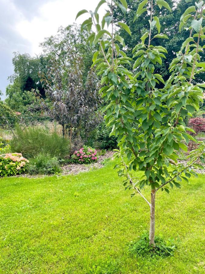 Ferienwohnung Kamrath Mit Wunderschoenem Ausblick Neuruppin Eksteriør bilde